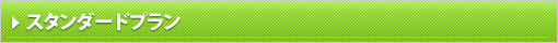 スタンダードプラン／本格的なホームページを導入したい企業様向けパッケージプラン