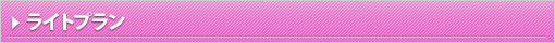 ライトプラン